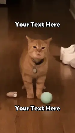 I Go Meow Cat