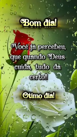 Bom dia 