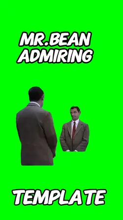 Mr.Bean Admiring