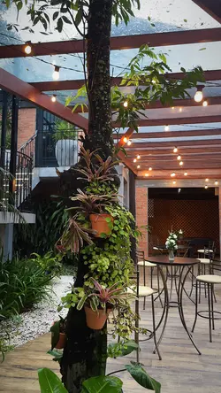 Decor 1