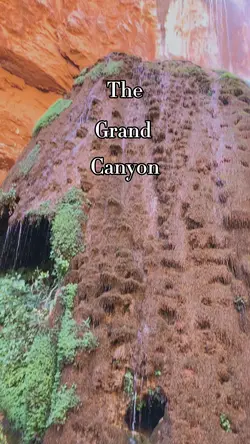 The Grand Canyon 🤩