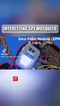 Insect 