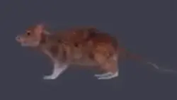 Velocity Edit