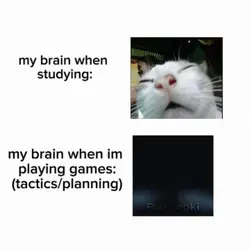 Studying VS Games