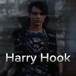 Harry Hook