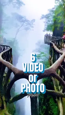 6 Video or Photo