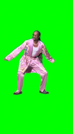 Snoop surfing 