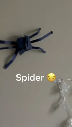 Spider 😔