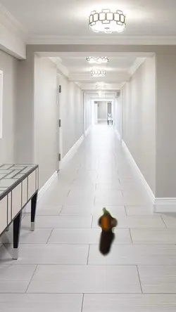 Joker walkin
