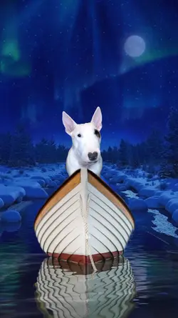 Boat Trend 