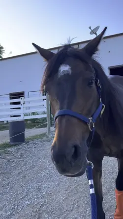 I love this clip😍
