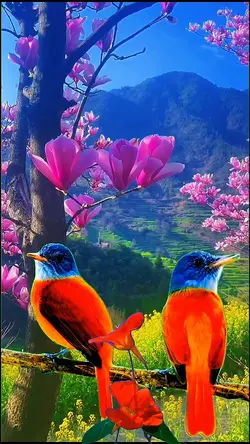 Lovebird