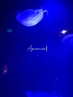 Aquarium time