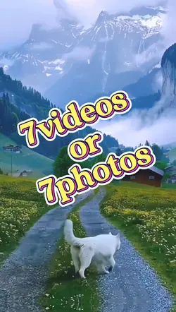 7videos/7photos