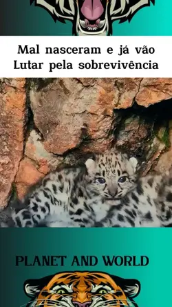 PLANET ANIMAL 