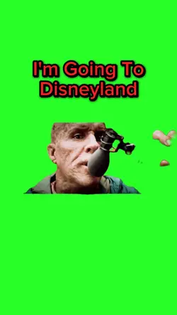 Going To Disneyland