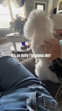 So fluffy