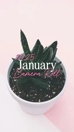 January Camera Roll