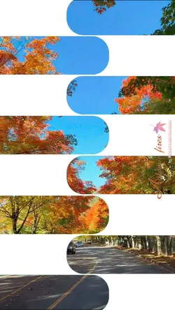 Autumn pattern