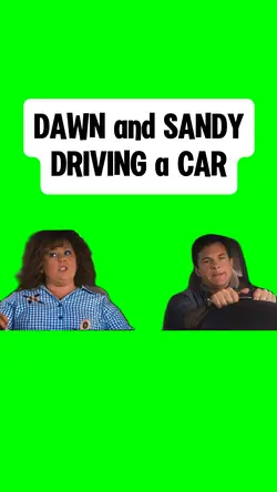 DRIVING THE CAR