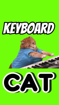 KEYBOARD CAT