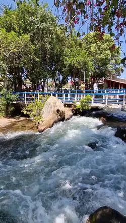 Rio 