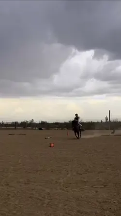 Professional jumper😍