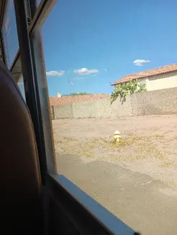 WHY?