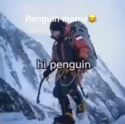 Penguin