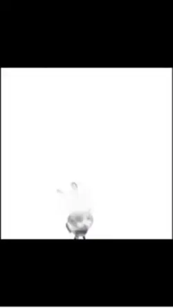 Cat bonk 