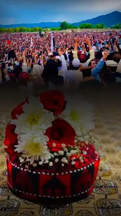 شور دی انقلاب دی🥷