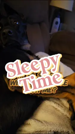 Sleepy Time