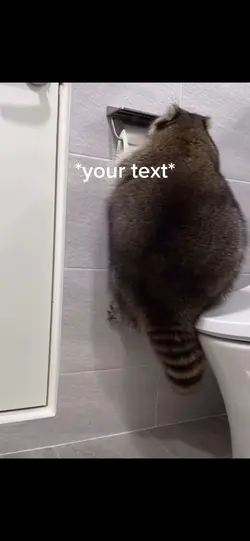 Toilet time