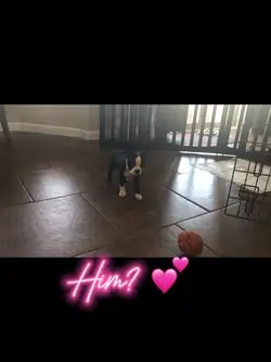 My little baby 😍