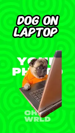 Dog on Laptop