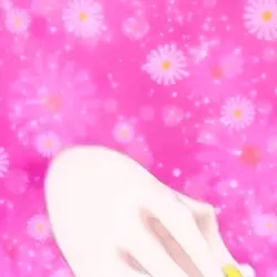 ☆ 