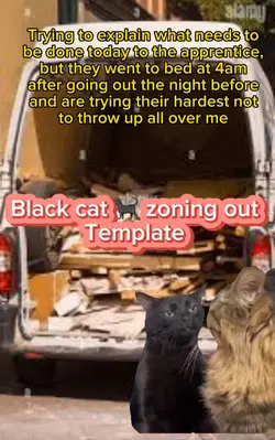 Black cat zoning out