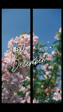 Hello December 