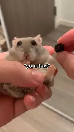 Hamster meme