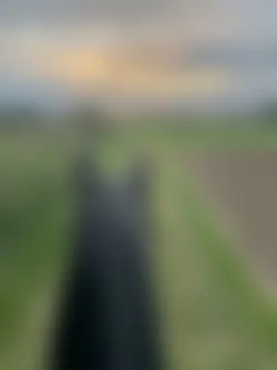 natureza 