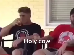 Holy cow 