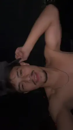 novo modelo 