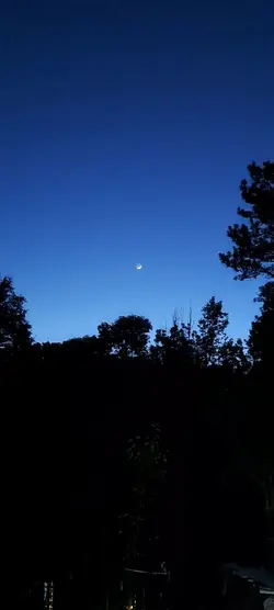 sigue tus sueños 