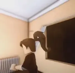 Chaos