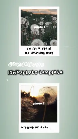 dandelions <3