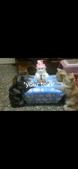 Birthday kitty
