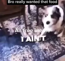 Free meme part 1