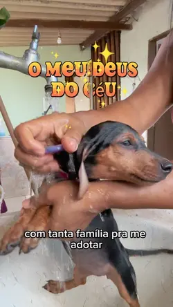 O meu Deus 
