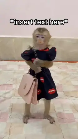 Lady Monkey