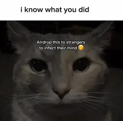 Know what you did